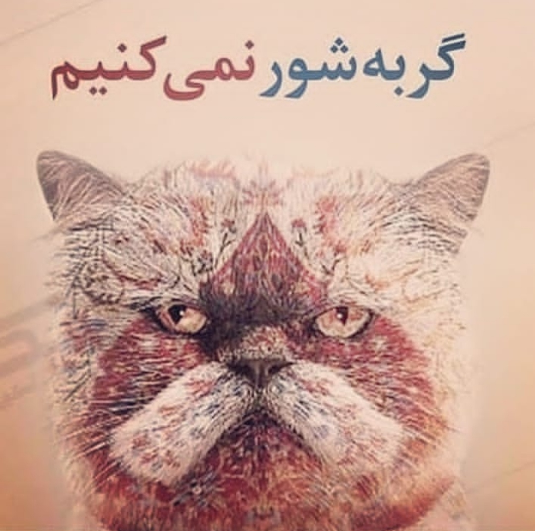 قالیشویی عصر جدید